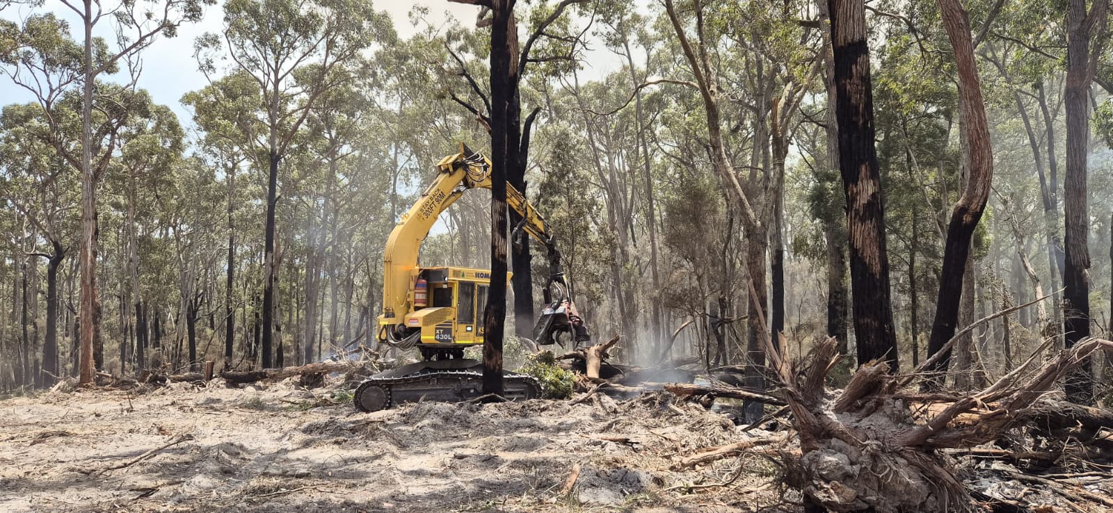 Excavator and harvester constructing a firebreak through pine plantation