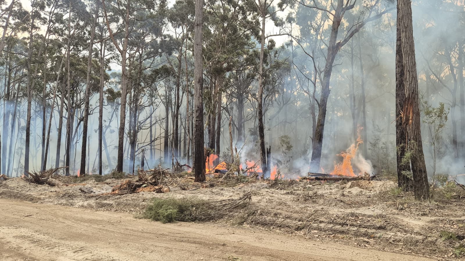 Active fire burning along the edge of the cleared break