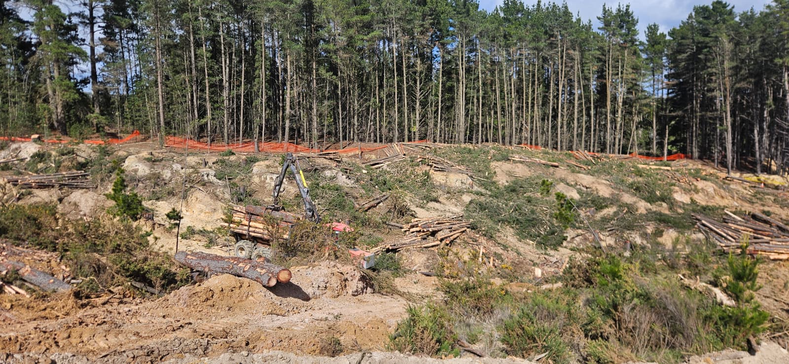Forwarder removing cut timber across rugged ground