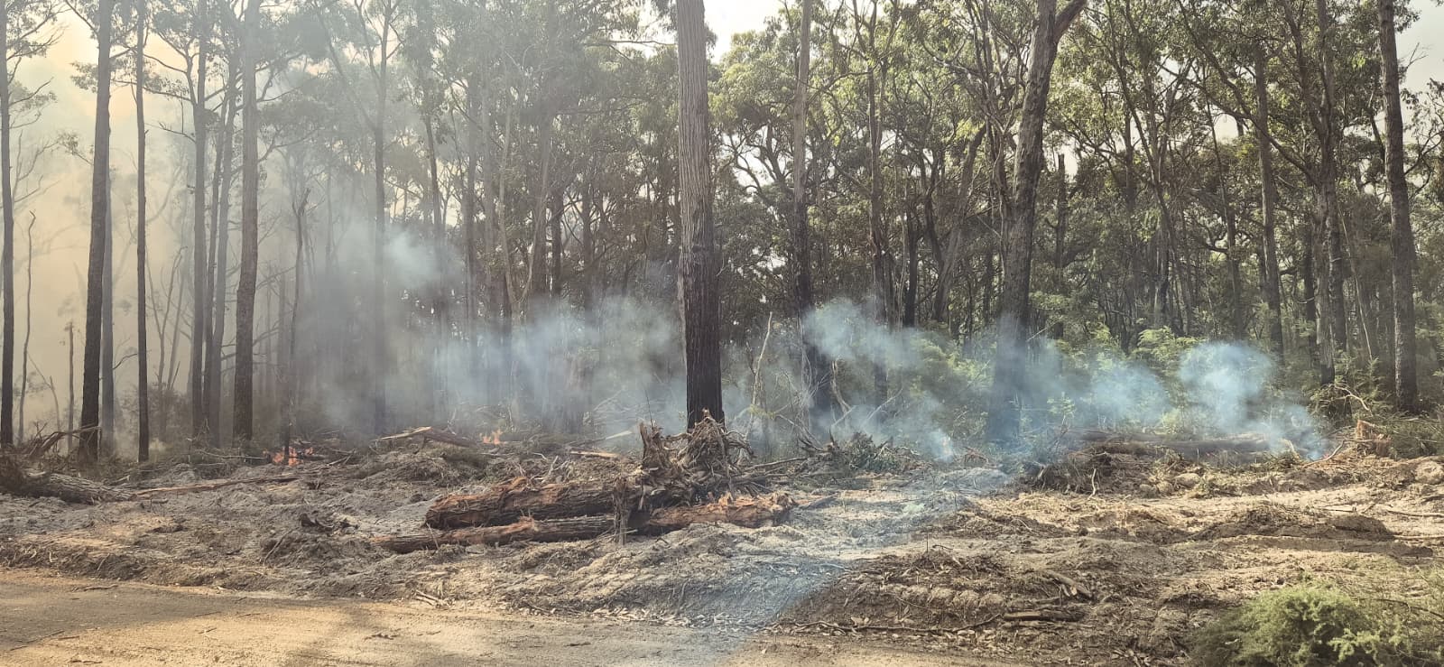 Smouldering debris along the completed firebreak