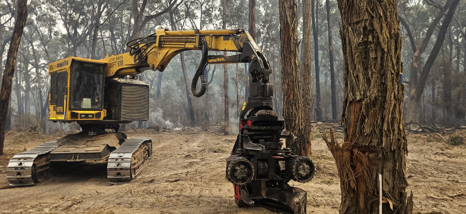 Harvester and processing head clearing the break line
