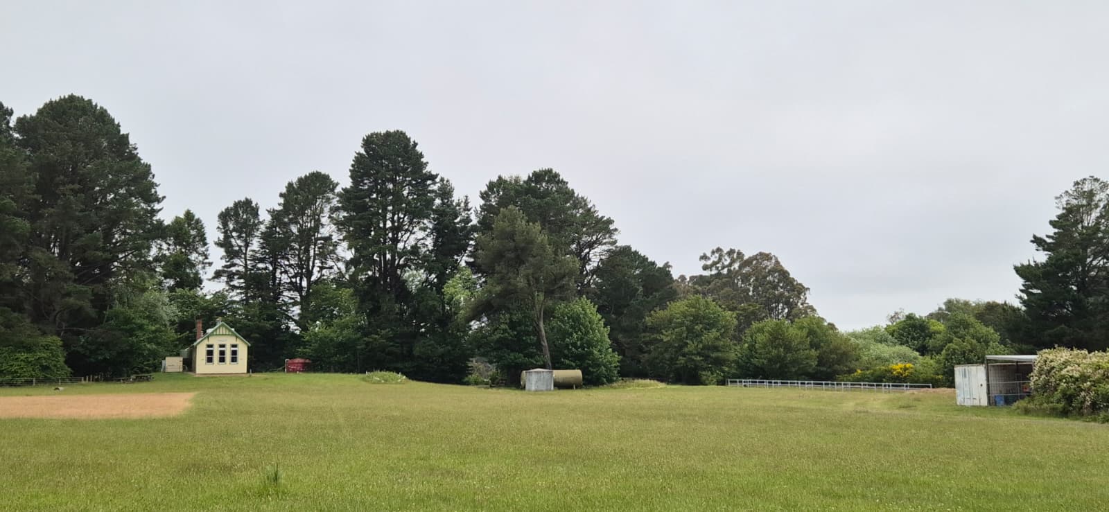 Open reserve grounds after hazardous pine removal