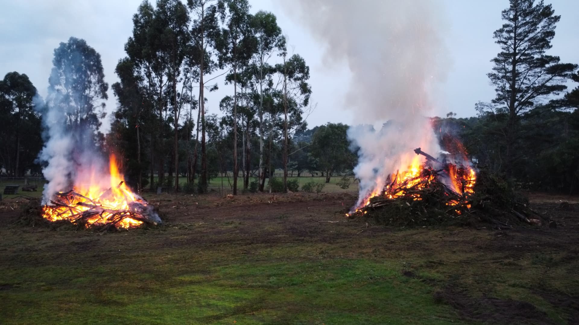 Two slash piles burning down on the cleared paddock