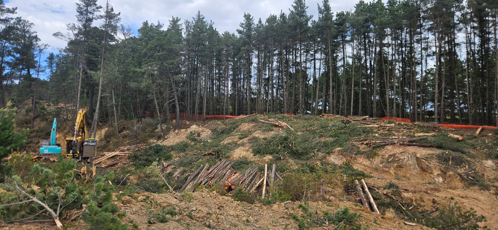 Harvester and excavator working the cleared ridge line