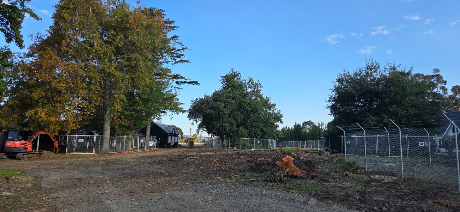 Cleared development site with a freshly cut stump