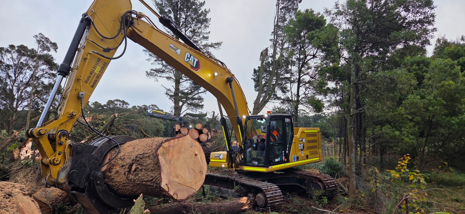 Excavator handling a large removed tree at Newbury Recreation Reserve
