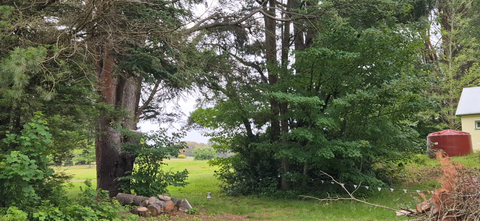 Retained mature trees and cleared vegetation near the reserve buildings