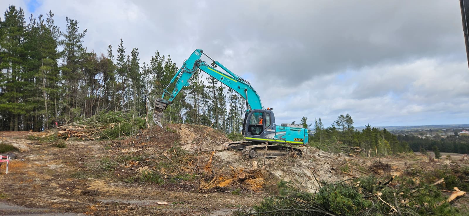 Excavator clearing vegetation along the elevated boundary