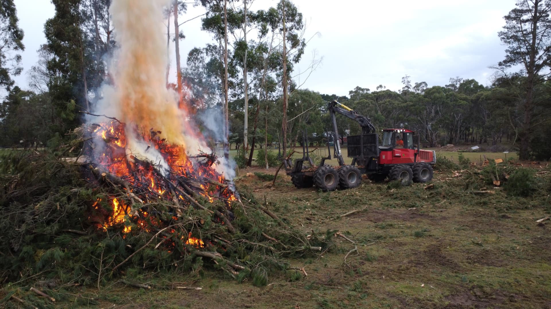 Forwarder stacking heads beside a burning slash pile
