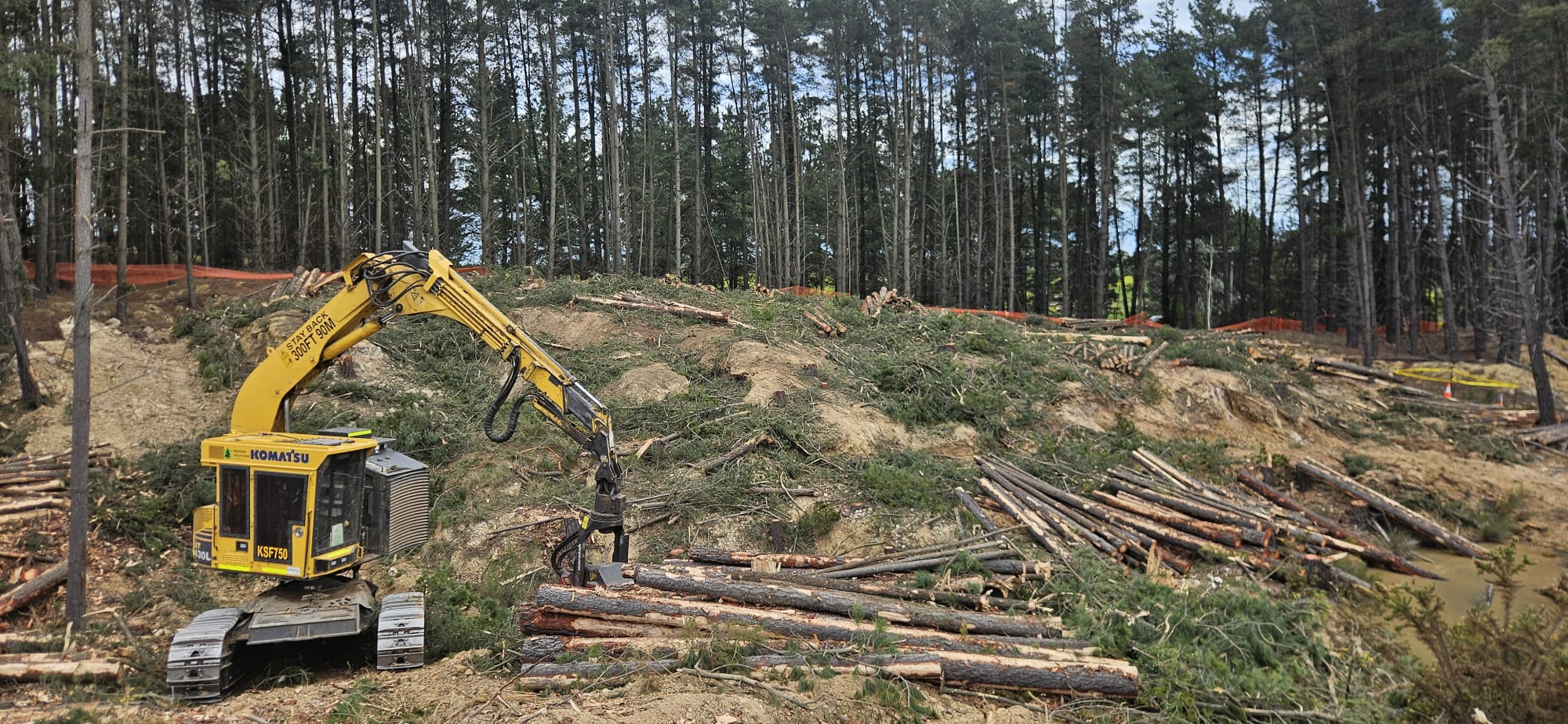 Komatsu harvester processing felled pine on the slope